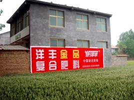 鲁甸如何让墙体广告展现最大化效果