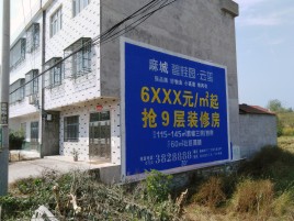 鲁甸墙体广告质量分析