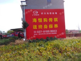 鲁甸农村墙体广告给农村人民带来方便
