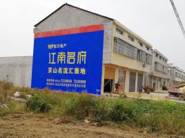 鲁甸农村墙体广告在不同形式上面展现的不同特色