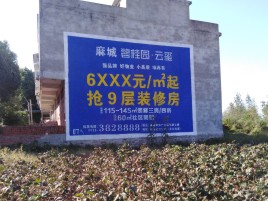 鲁甸墙体广告的好处