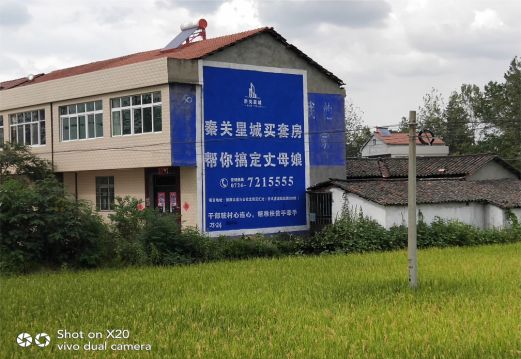 鲁甸决定墙体广告价格的因素有哪些?