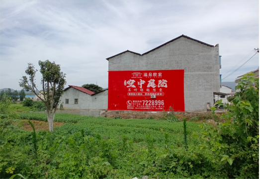 鲁甸做墙体广告的意义