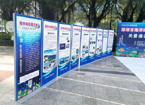 鲁甸KT板的种类和知识。